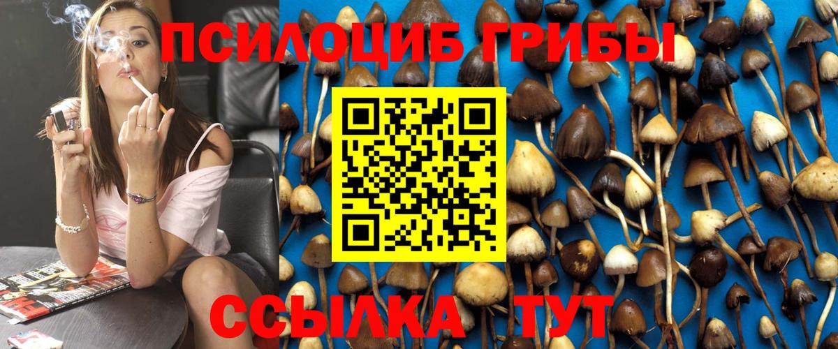 Псилоцибиновые грибы Cubensis  Галлюциногенные грибы Psilocybine cubensis  Дзержинский  Вход с VPN 