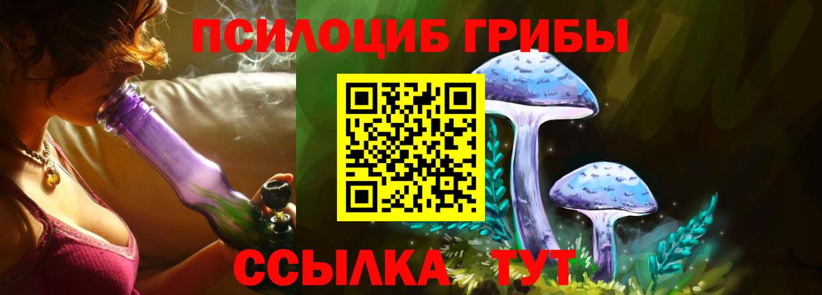 Псилоцибиновые грибы Psilocybe Дзержинский